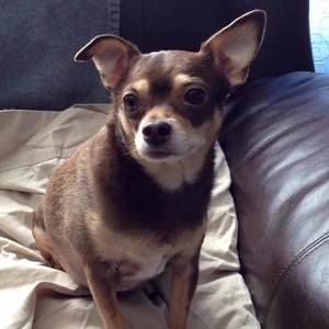 Meet your Posher, Cindy